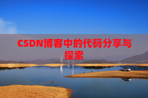 CSDN博客中的代码分享与探索