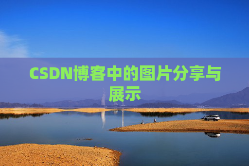 CSDN博客中的图片分享与展示
